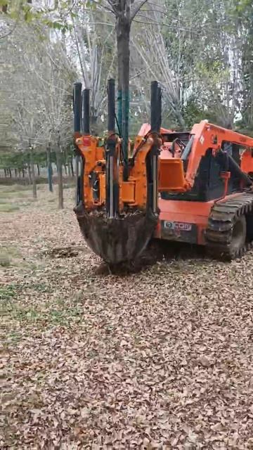 Пересадчик С80-6