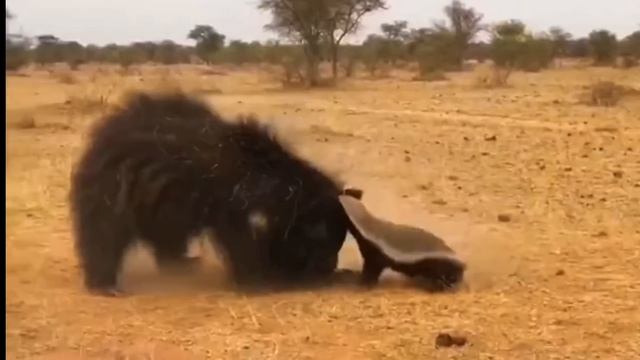 screen-20260422-084114