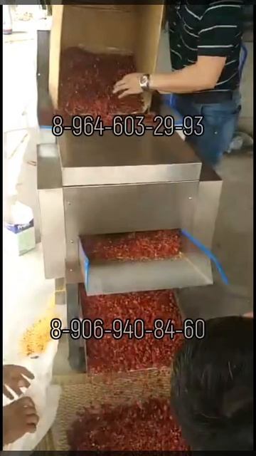 Станок для удаления семян перца чили (300 кг/ч)