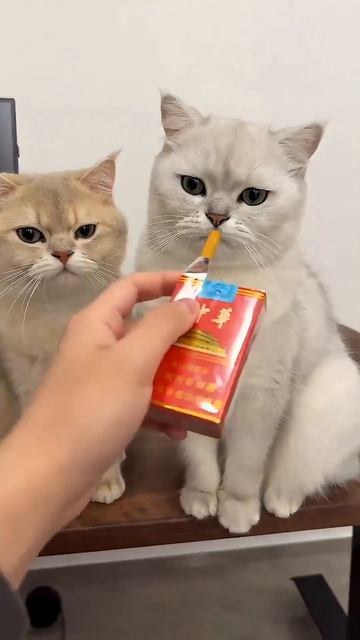 Давй закурим, товарищ по одной.