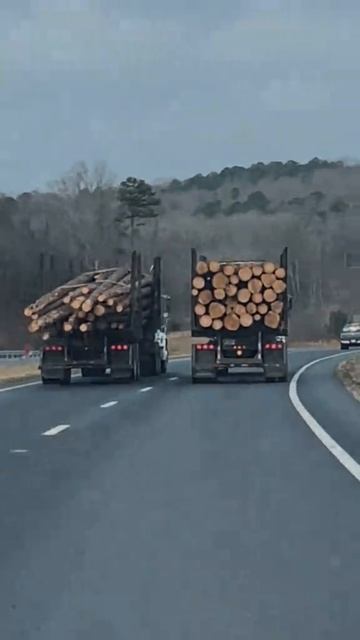 Кино и Сериалы