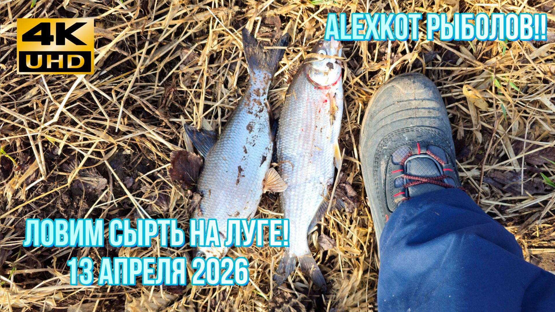 За сыртью на Лугу! Первый раз - что, как и где! 16 кило за один раз!