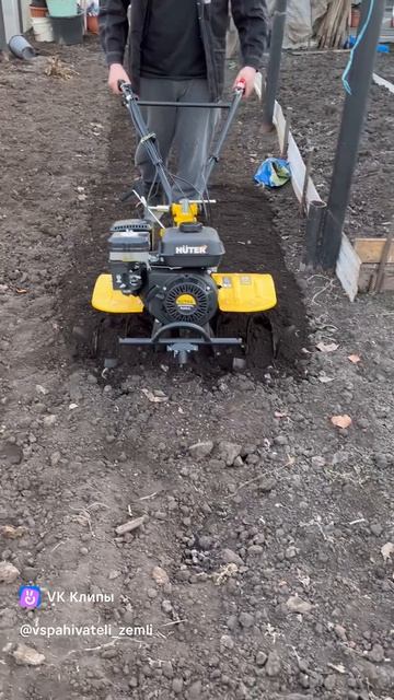 vkclips_20260422120300