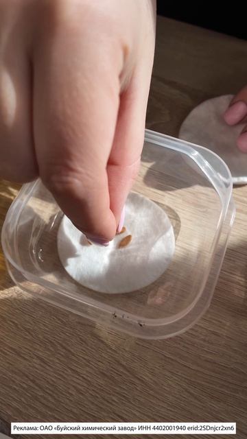 Подготовка семян дыни к посеву - замачивание с удобрением.