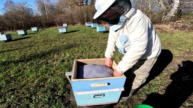 22 Апреля. Погоды нет. Кормим пчёл.