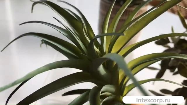 Декоративная ветка ТИЛЛАНДСИЯ, PVC, зелёная  1021010, 1021011 и 1058931, 1058937