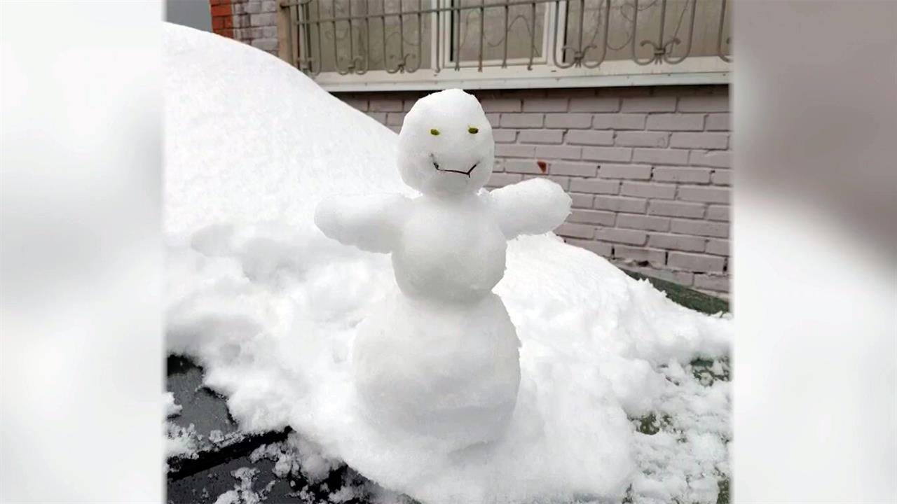 В Центральной России ударили заморозки.