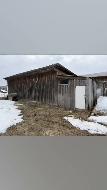 видео Любаня