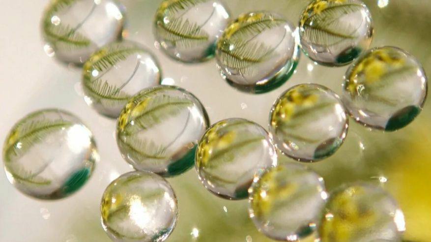 Профессиональный Антидождь NanoLab на целый год.