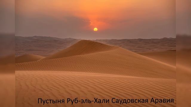 Танк из Бразилии оказался лучше Абрамса, но ему не дали ни одного шанса