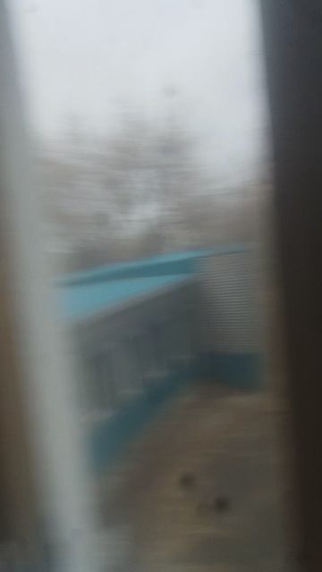 КОГДА ПОСТУЧАЛ ПАЛЕЦ-ПТИЧКА🤣