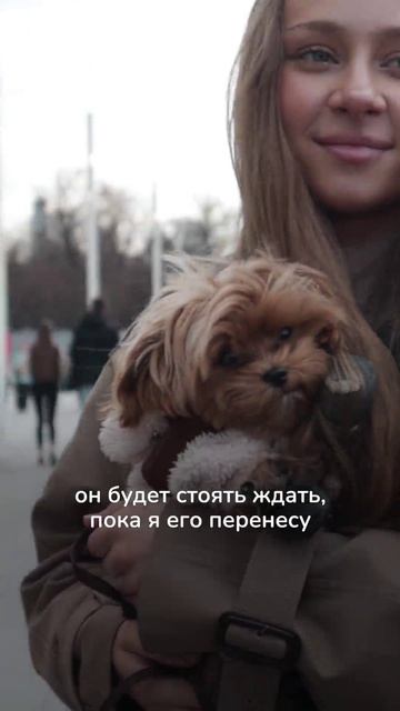 Говорят, что питомцы похожи на своих хозяев 🍕