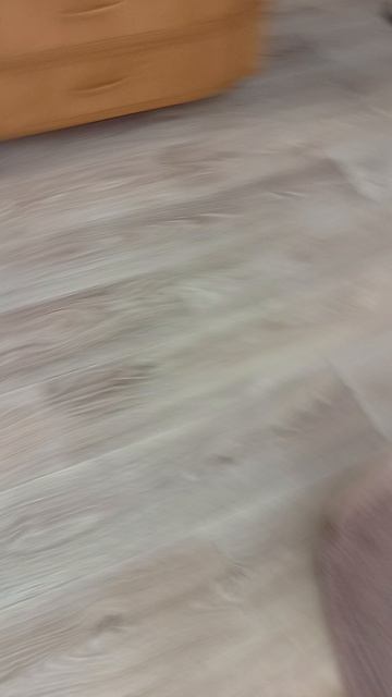 киска спит 🛌