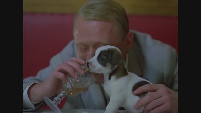 Мохнатый шмель! Фрагменты из фильма 