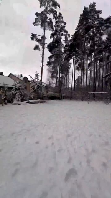 30 декабря 2025 г.