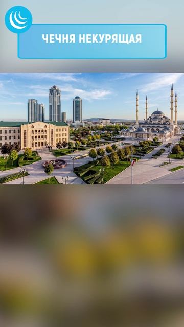 НУЛЕВОЙ ПРОЦЕНТ #мирадио