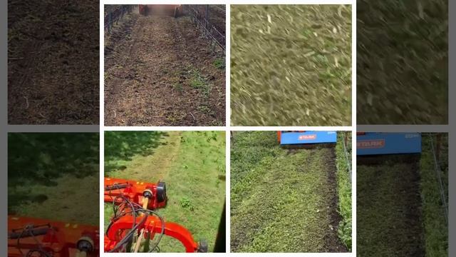 Мульчера садовые