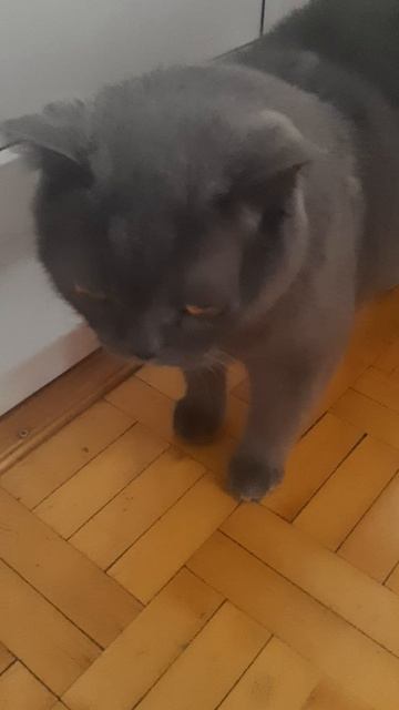 Передумал гулять,буду слушать.