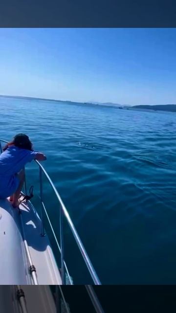 Морская прогулка, встреча с дельфинами