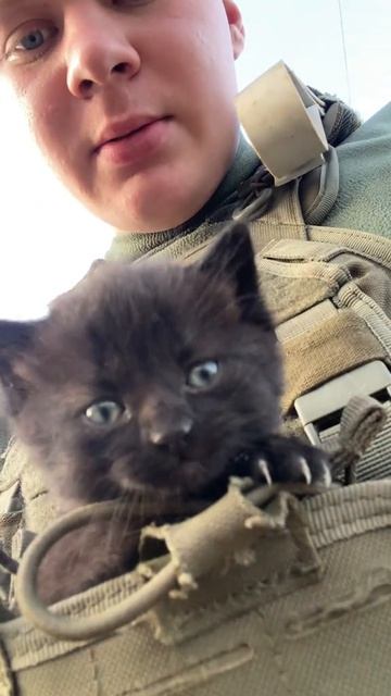 Кино и Сериалы