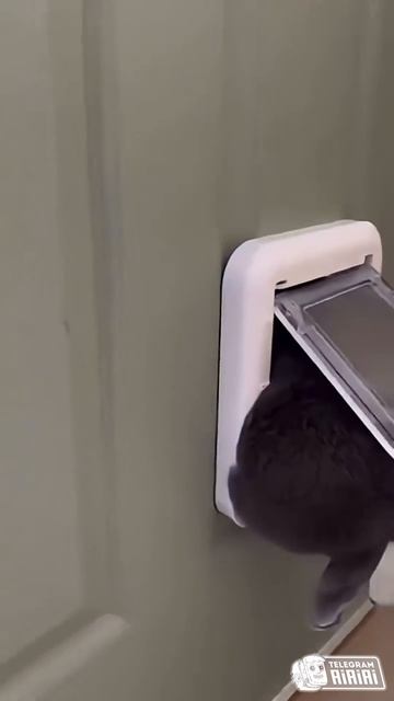 КОГДА ХОРОШО ПОКУШАЛ