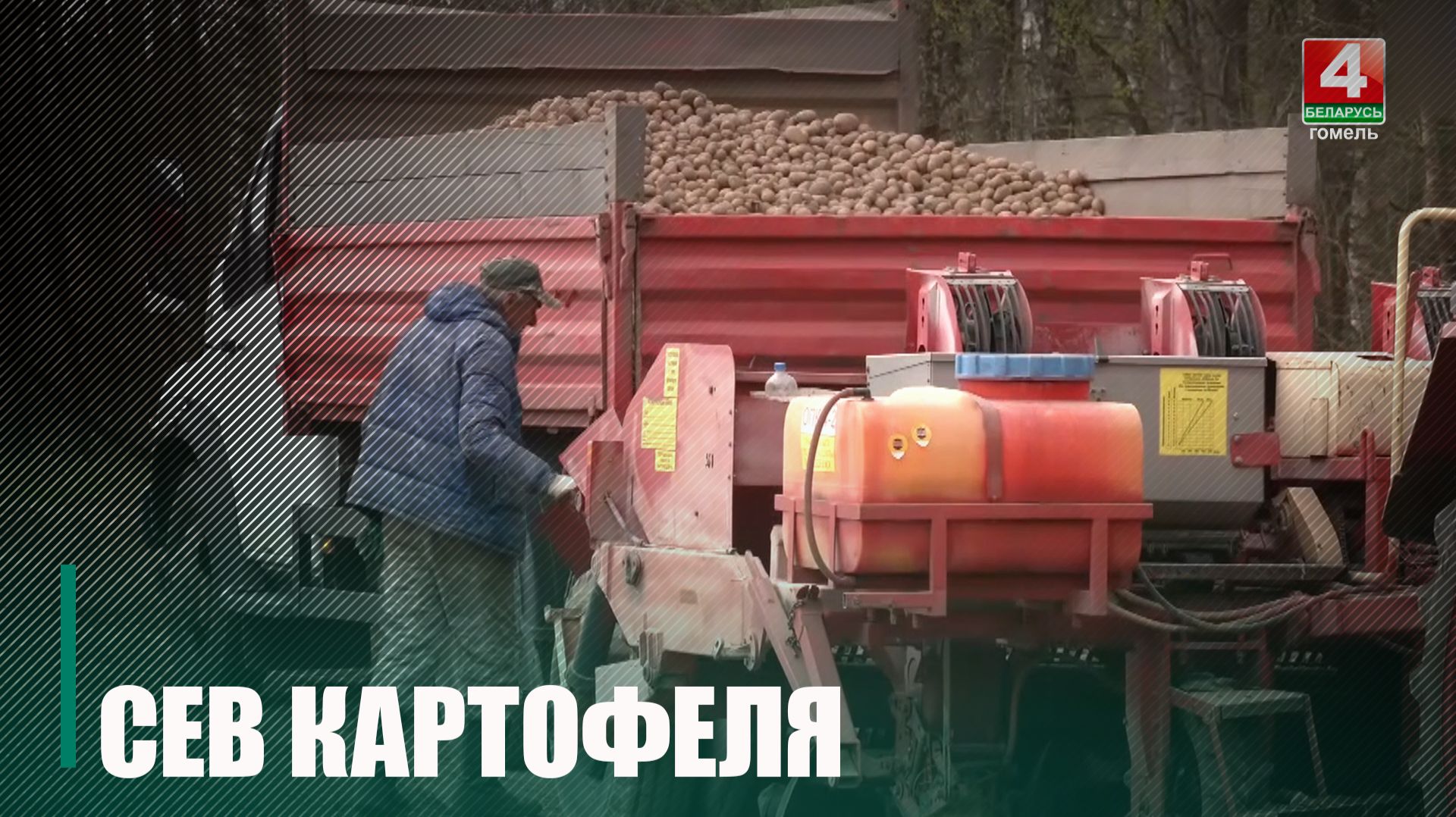 К посадке картофеля приступили на Гомельщине