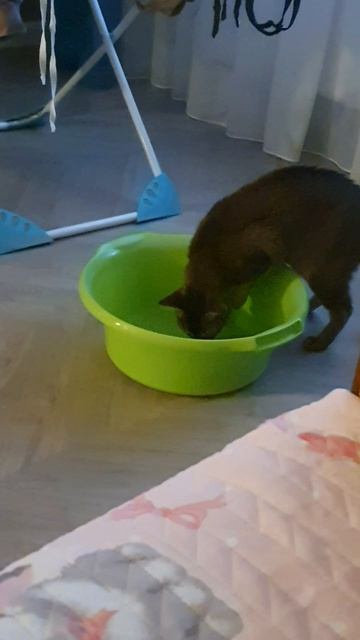 отредактировал Асю