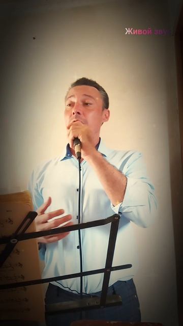 Тихая моя родина