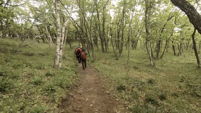 Сихотэ-Алинский заповедник, Мыс Северный.
