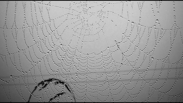 П. Коэльо. О кознях врага. Притча 128. Книга Воина Света