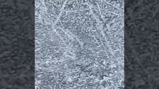 Похолодало до -3