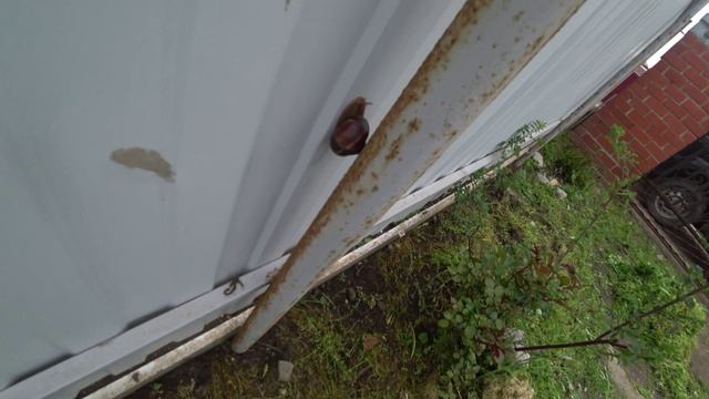 НОВЫЙ ДЕНЬ / УБРАЛСЯ ВО ДВОРЕ /УСТАНОВИЛ ЛЮСТРУ В ХОЛЛЕ/ УРА НОВАЯ ПЛИТА