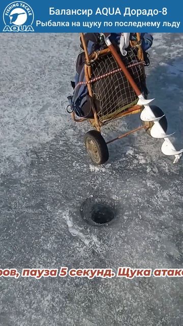 Последний лёд, щука активна! Ловил на Дорадо. Отличная рыбалка!