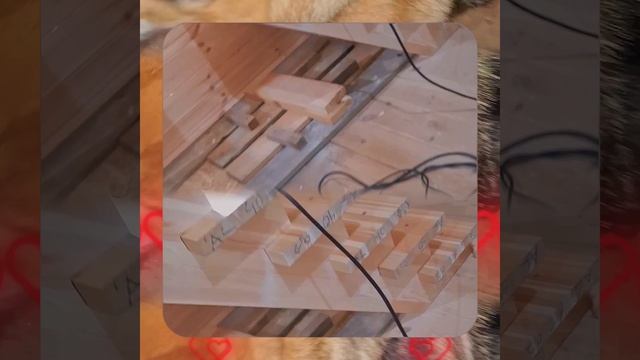 1000056803.mp4 (Собака наблюдает за устройством лестницы на 2-ой этаж в доме А-фрейм)