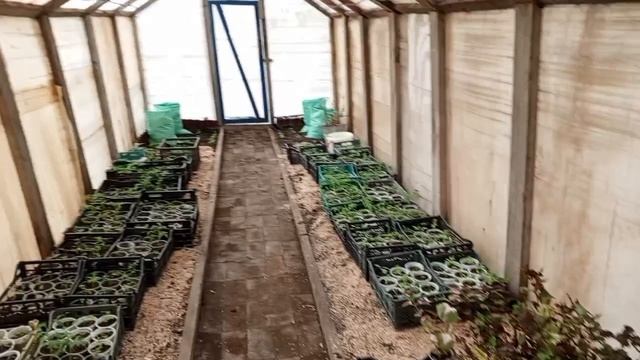 подготовили мешки с землёй для ранних огурцов