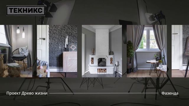 Фазенда и Текникс. Проект - Дерево жизни