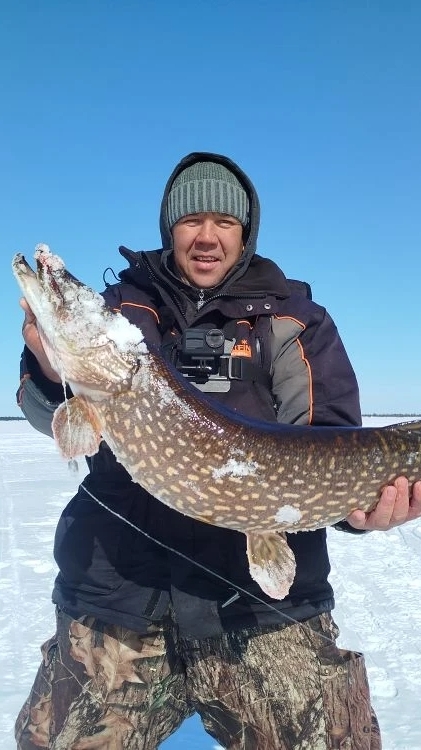 Вот это щукенция.