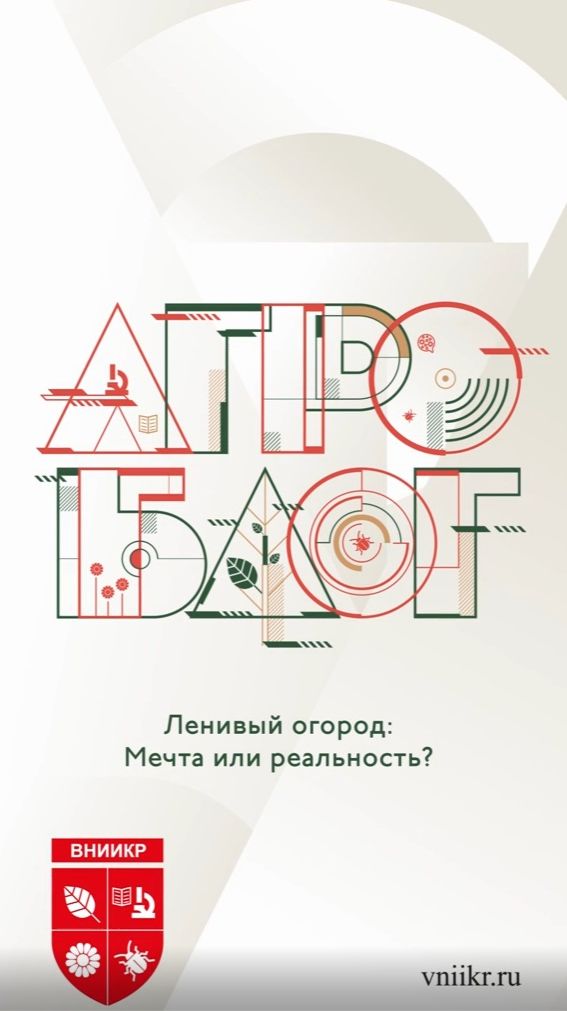 Ленивый огород: мечта или реальность