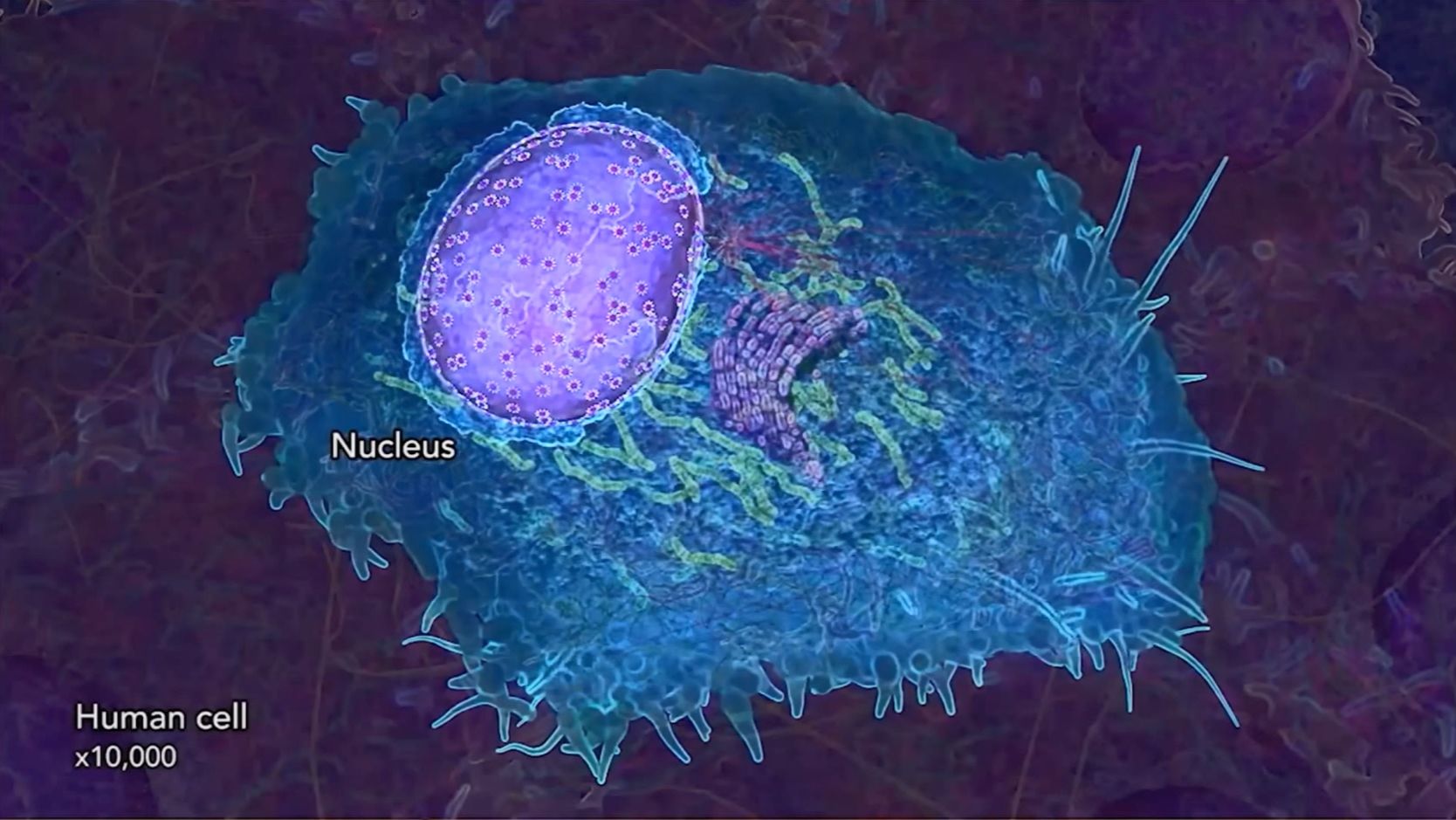 ДИАЛОГИ О СОТВОРЕНИИ. Самый сложный объект во Вселенной - Молекула ДНК. Встреча вторая