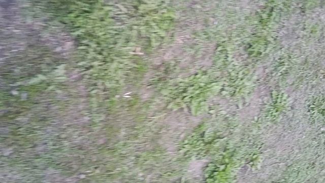 небольшая прогулка