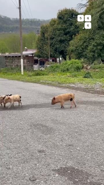 Сегодня Солнце вошло в 27 ворота Заботы.