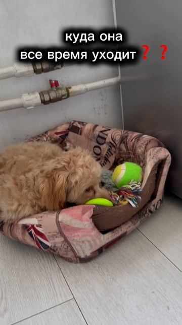 можно я с тобой🥹❓❓#топ#тренд