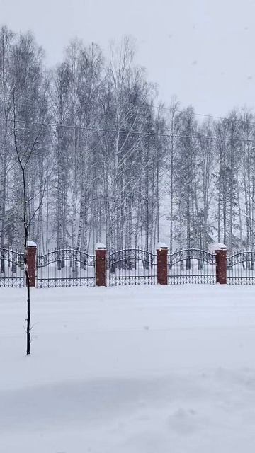 22 апреля .. .Весна