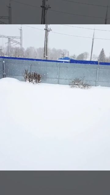 Валит снег! ❄️ Снежная аномалия в конце апреля..☃️🌨️