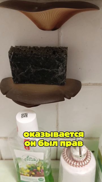 Когда мамиЧка помешалась на 🍄🍄🍄 #zhirondairllota #семейнаяпсихология #семейнаяжизнь #mashroom #memes