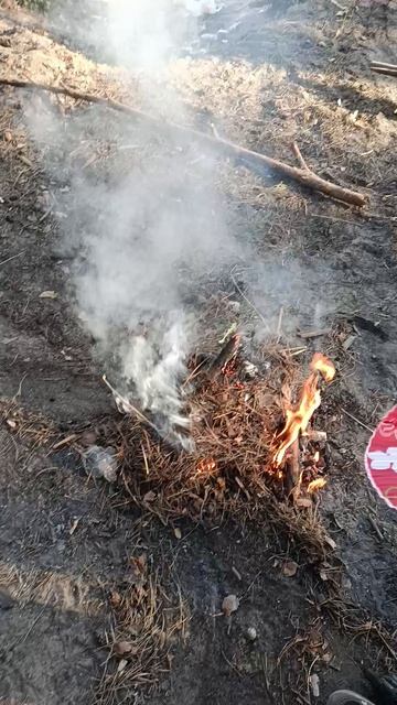 Пришли на пикник в лес с Настей, готовимся жарить сосиски