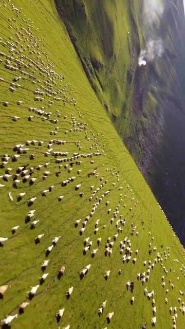 Природа Грузии прекрасна и разнообразна!