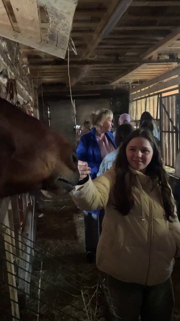 Будущие ветеринары в приюте: студенты Смоленской академии пришли на помощь пушистым подопечным! 🐶