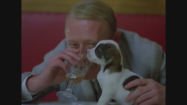 Мохнатый шмель! Фрагменты из фильма 