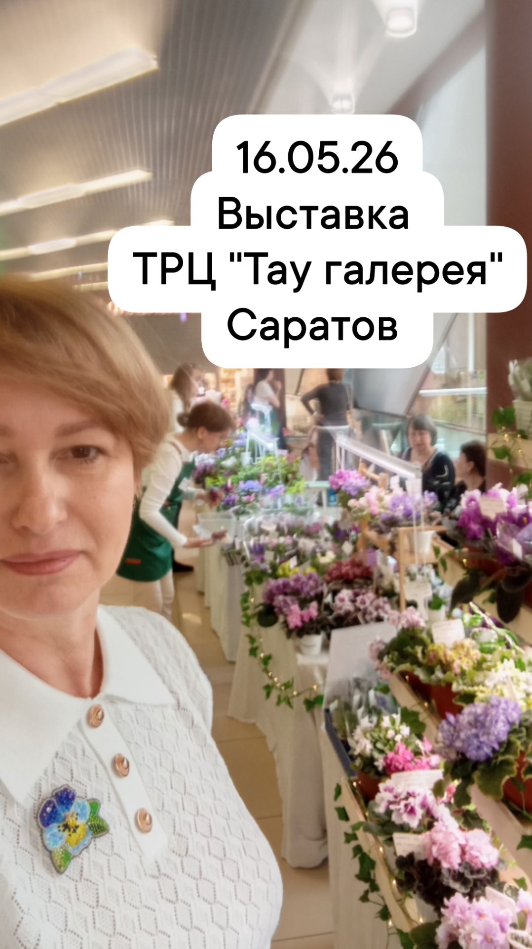 Выставка сортовых фиалок